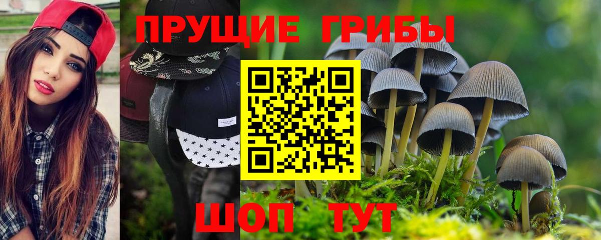Минеральные Воды  Галлюциногенные грибы мицелий  Вход с VPN 